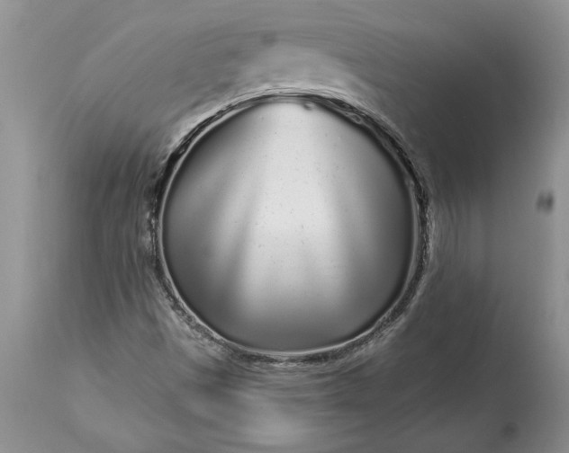 X0000113581497200910021640