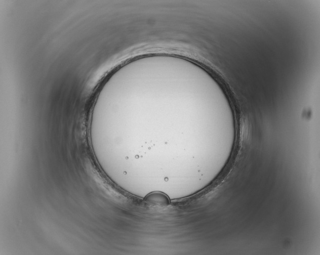 X0000113581498200910021640