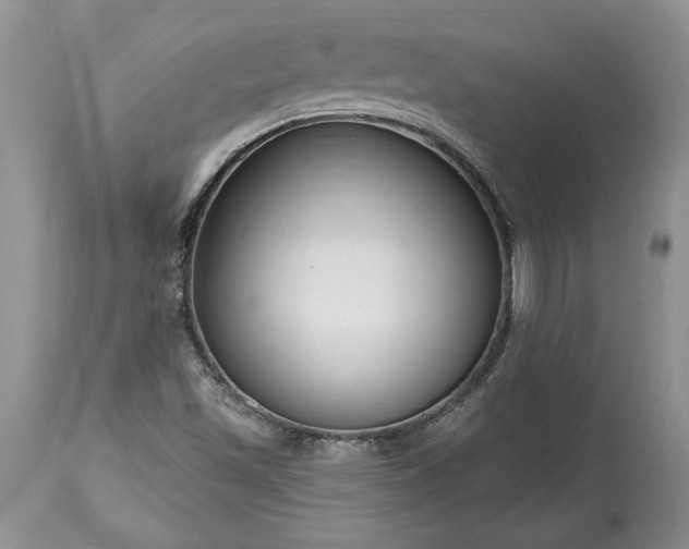 X0000113581501200910021640