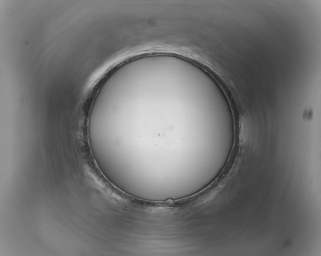 X0000113581502200910021640