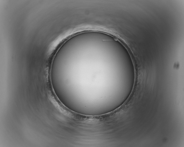 X0000113581503200910021640