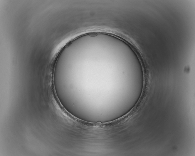 X0000113581504200910021640