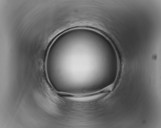 X0000113581505200910021640