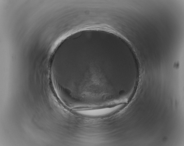 X0000113581506200910021640