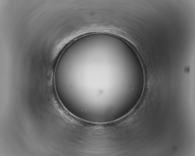 X0000113581507200910021640