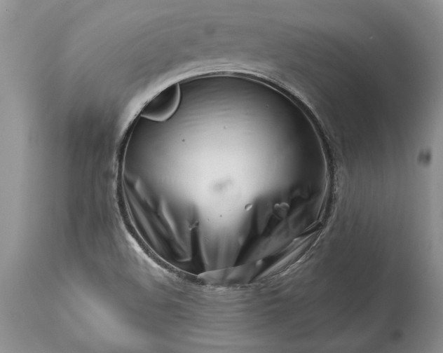 X0000113581508200910021640