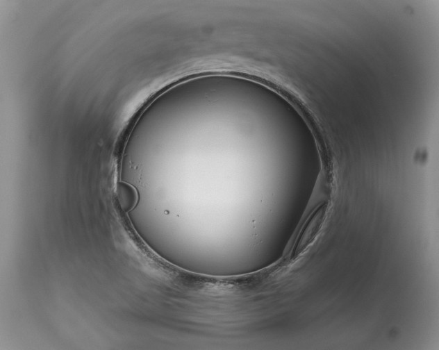 X0000113581509200910021640