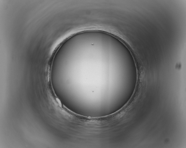 X0000113581510200910021640