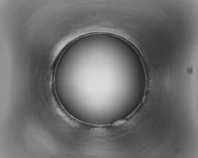 X0000113581511200910021640