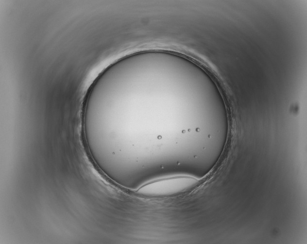 X0000113581512200910021640