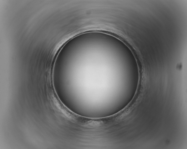 X0000113581513200910021640