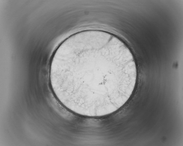 X0000113581514200910021640