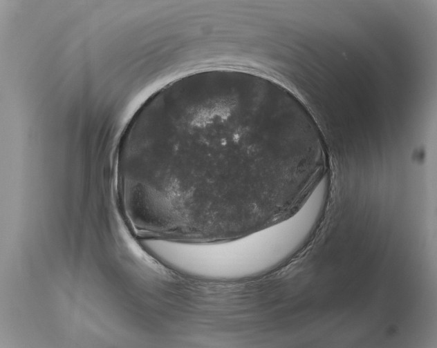 X0000113581515200910021640