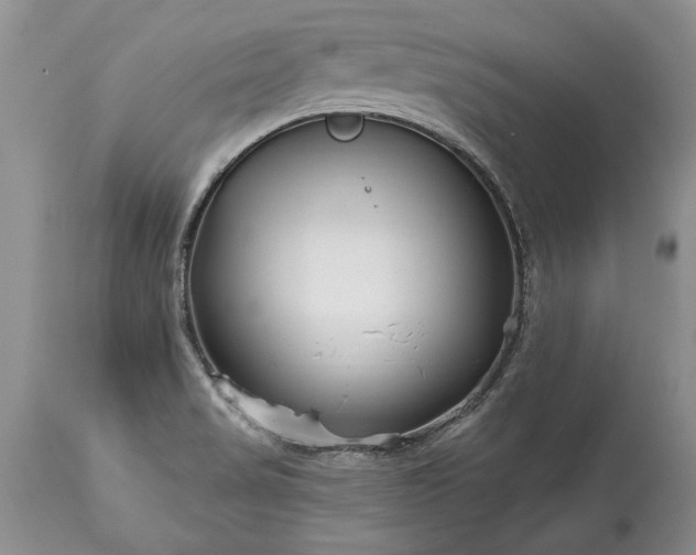 X0000113581517200910021640