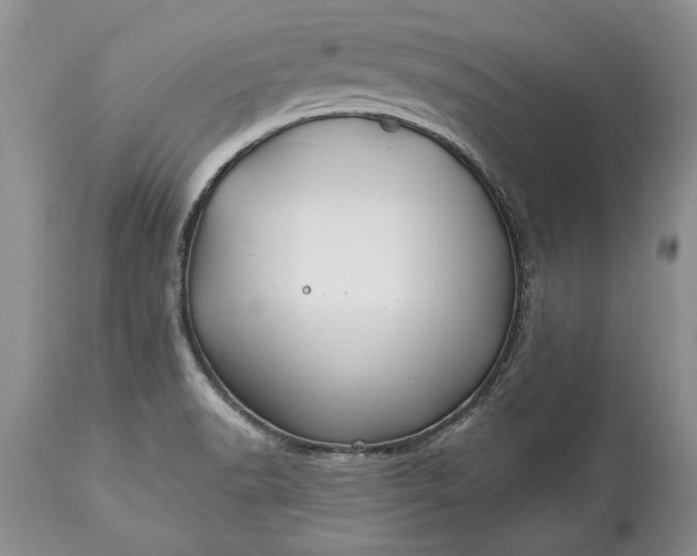 X0000113581518200910021640