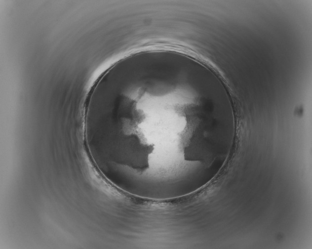 X0000113581522200910021640