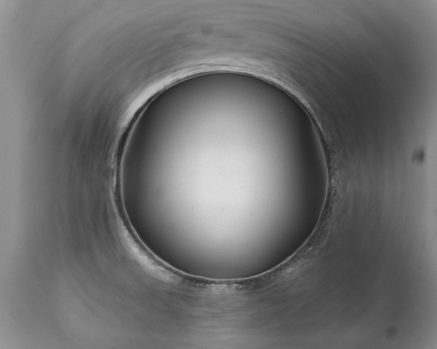 X0000113581523200910021641