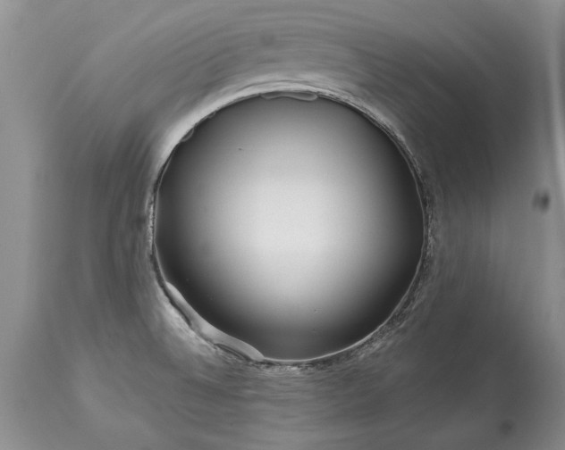 X0000113581524200910021641