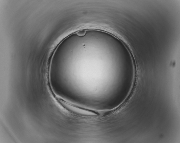 X0000113581525200910021641