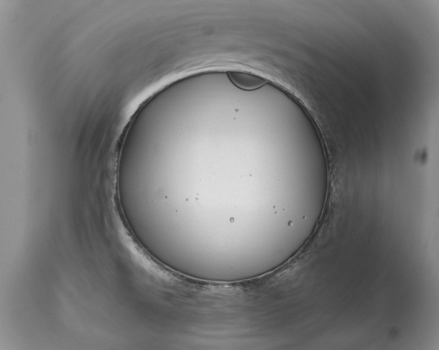 X0000113581526200910021641