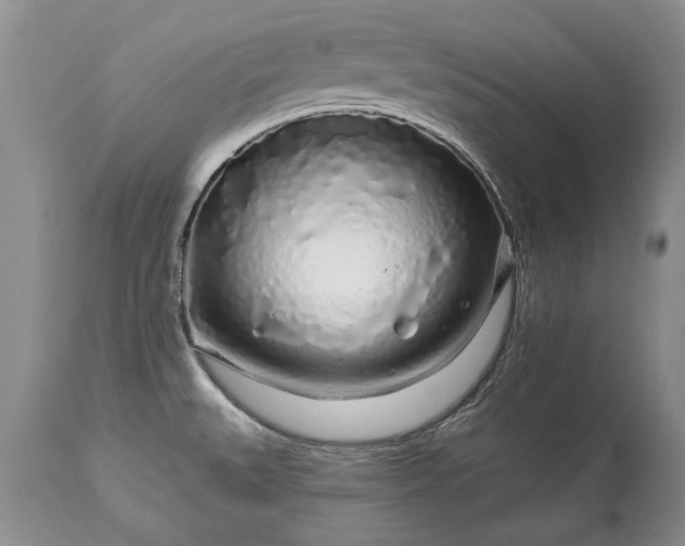 X0000113581527200910021641