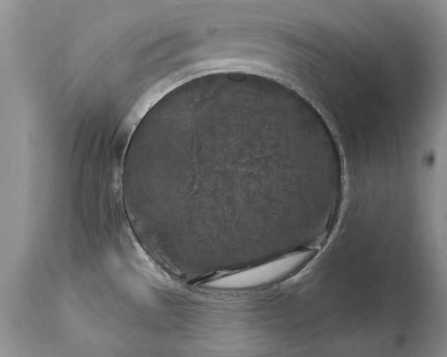 X0000113581529200910021641