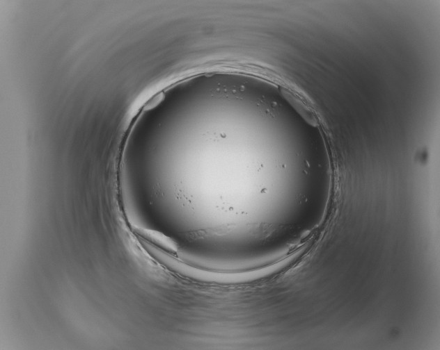 X0000113581530200910021641