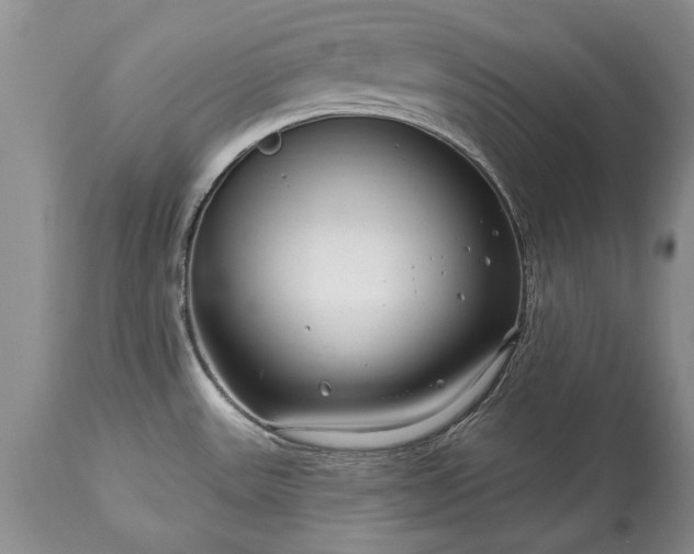 X0000113581531200910021641