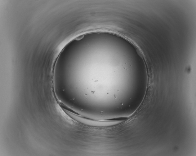 X0000113581532200910021641