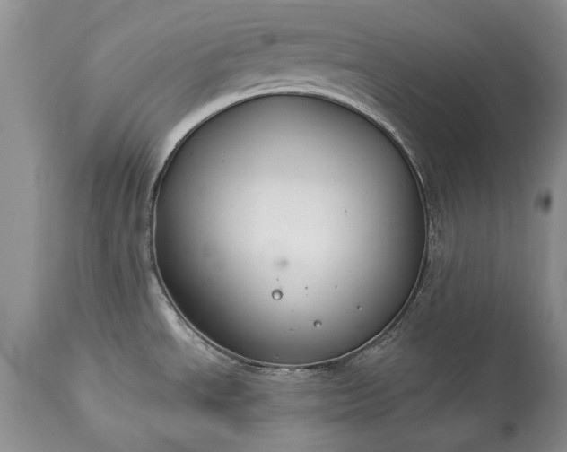 X0000113581534200910021641