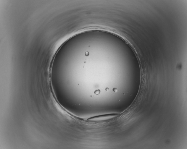 X0000113581535200910021641