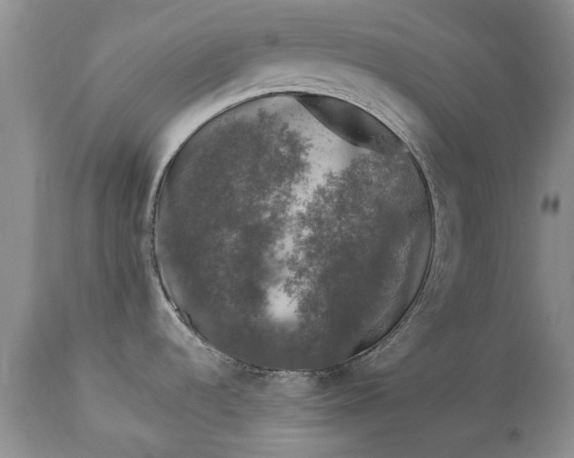 X0000113581536200910021641