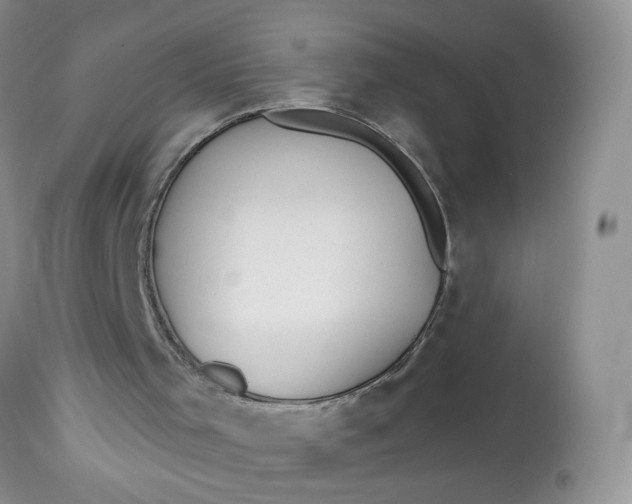 X0000113580001200910091513