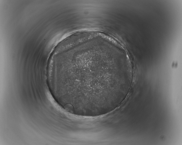 X0000113580002200910091513