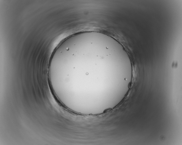 X0000113580003200910091513