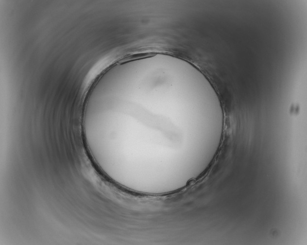 X0000113580004200910091513