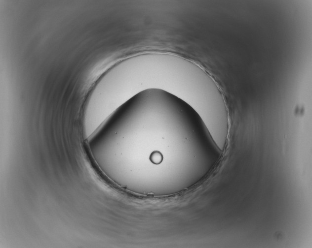 X0000113580005200910091513