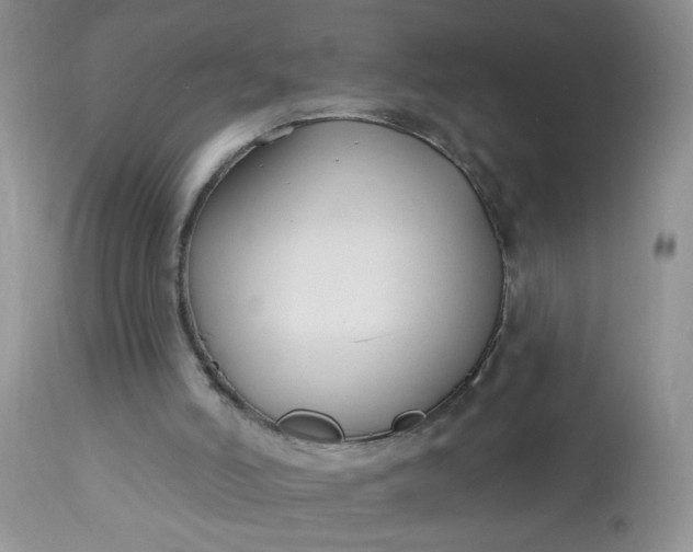 X0000113580006200910091513