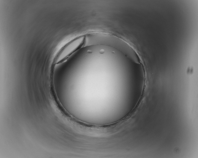 X0000113580008200910091513