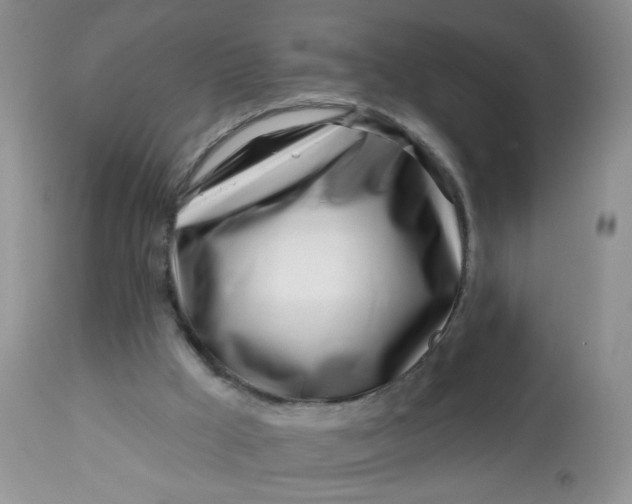 X0000113580009200910091513