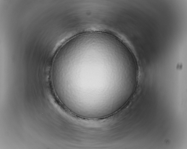 X0000113580010200910091513