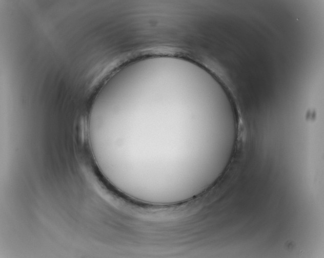 X0000113580013200910091513