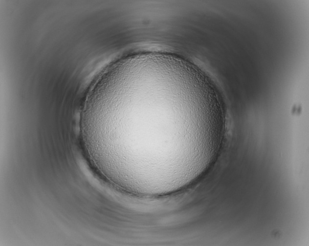 X0000113580014200910091513