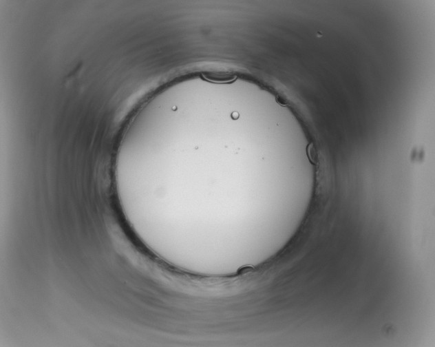 X0000113580015200910091513