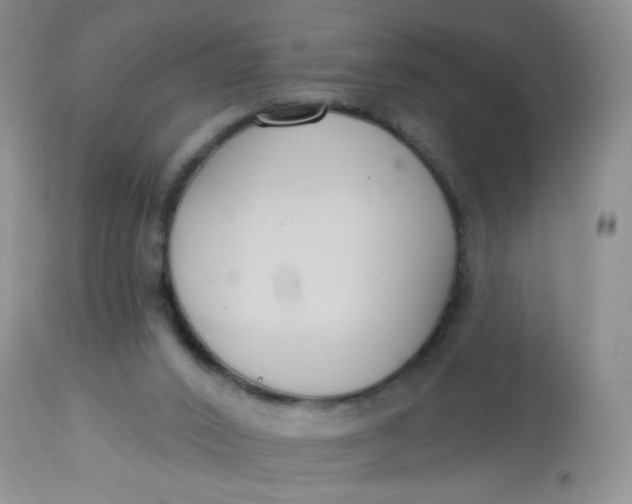 X0000113580016200910091513