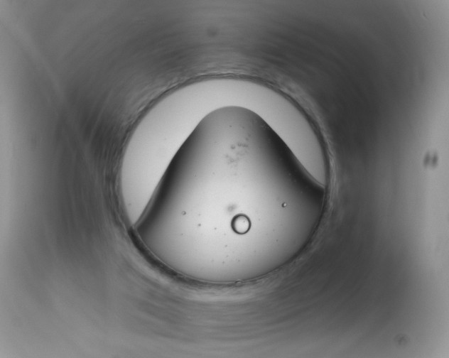 X0000113580017200910091513