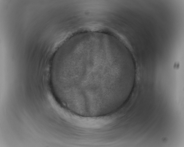 X0000113580018200910091513