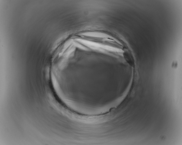 X0000113580019200910091513