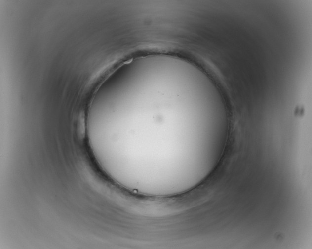 X0000113580020200910091513