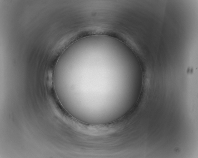 X0000113580022200910091513